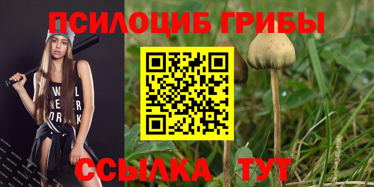 Псилоцибиновые грибы мицелий  Вход с VPN  Псилоцибиновые грибы Psilocybine cubensis  купить  цена  Краснокаменск 